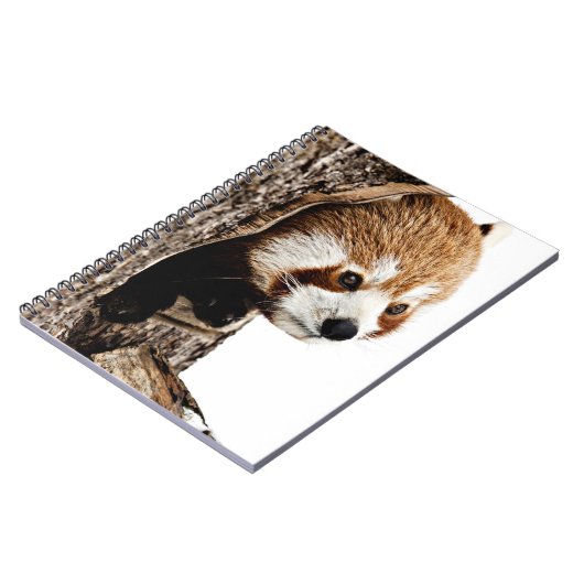 Red Panda Peek-a-Boo Notitieboek (Linkerzijde)