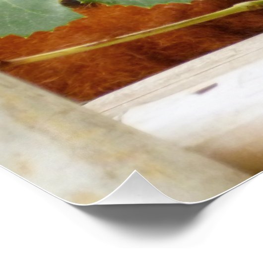 Red Panda Perfect Poster (Hoek)