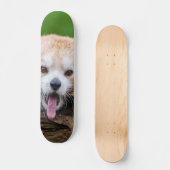 Red Panda Persoonlijk Skateboard (Voorkant)