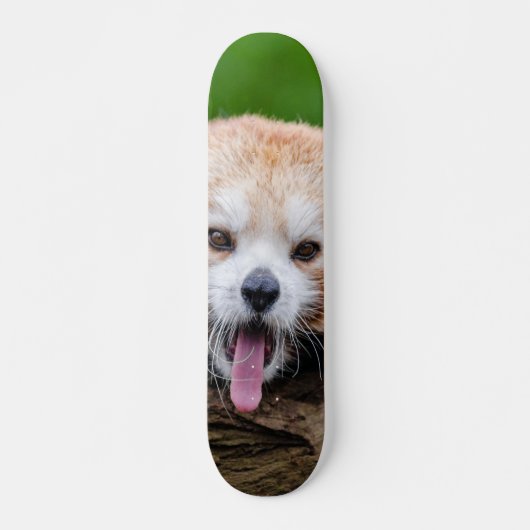 Red Panda Persoonlijk Skateboard (Voorkant)