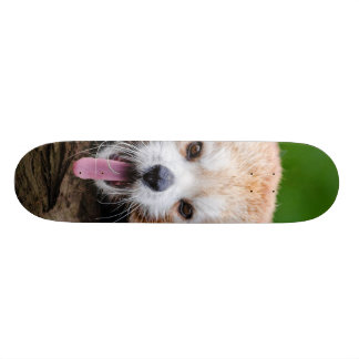 Red Panda Persoonlijk Skateboard