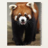 Red Panda Planner (Achterkant)