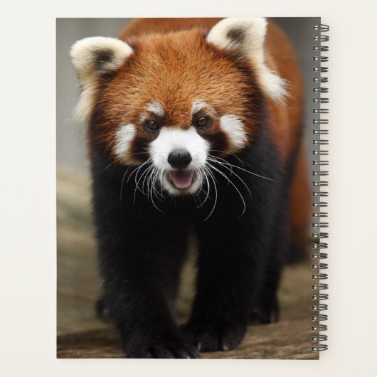 Red Panda Planner (Achterkant)