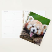 Red Panda Planner (Display)