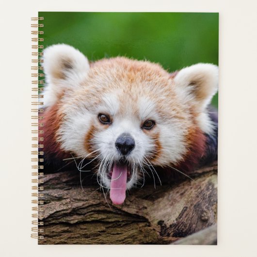Red Panda Planner (Voorkant)