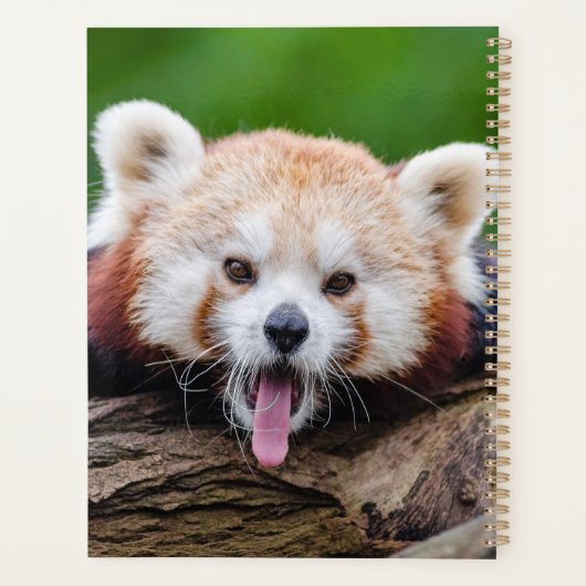 Red Panda Planner (Achterkant)