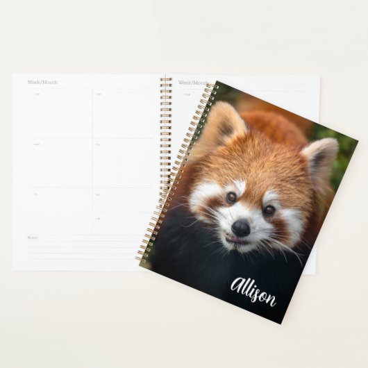 Red Panda Planner (Display)