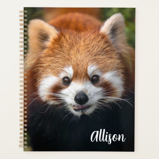 Red Panda Planner (Voorkant)