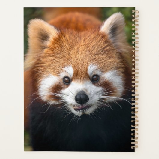 Red Panda Planner (Achterkant)