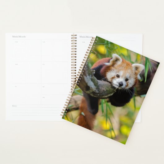 Red Panda Planner (Display)
