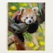 Red Panda Planner (Voorkant)