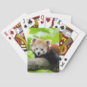 Red Panda Pokerkaarten