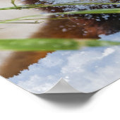 Red Panda Poster (Hoek)