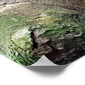 Red Panda Poster (Hoek)