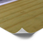 Red Panda Poster (Hoek)