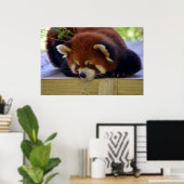 Red Panda Poster (Thuiskantoor)