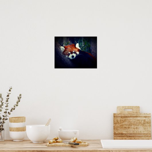 Red Panda Poster (Keuken)