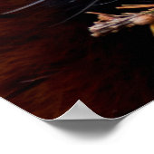 Red Panda Poster (Hoek)