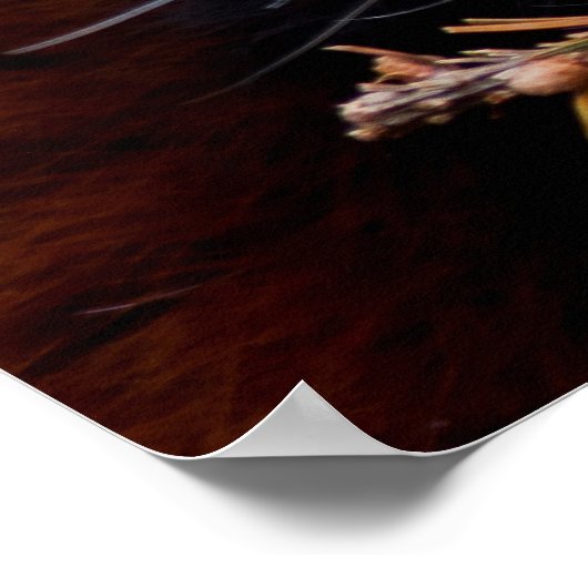 Red Panda Poster (Hoek)