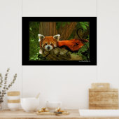 Red Panda Poster Print (Keuken)