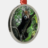 Red Panda Premium Round Ornament (Rechts)