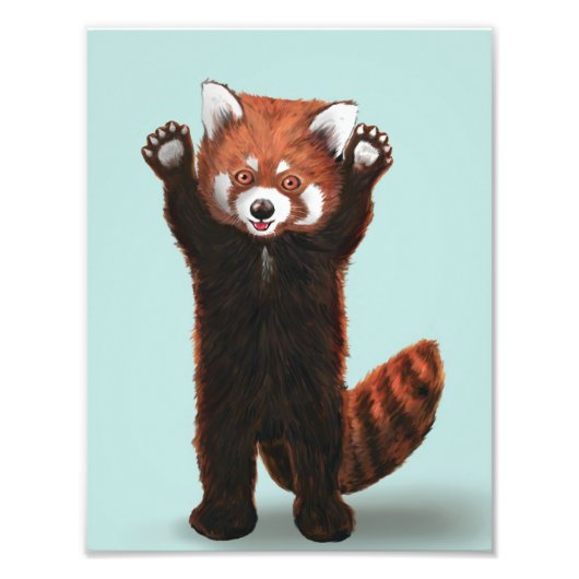 Red Panda Print Foto Afdruk (Voorkant)