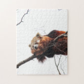 Red Panda Puzzle/Jigzaag Legpuzzel (Verticaal)