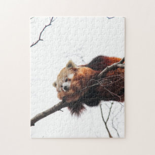 Red Panda Puzzle/Jigzaag Legpuzzel