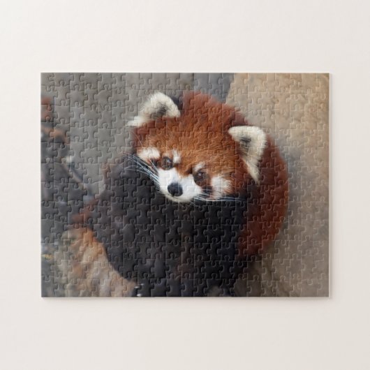 Red Panda Puzzle Legpuzzel (Horizontaal)