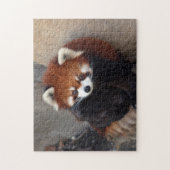 Red Panda Puzzle Legpuzzel (Verticaal)