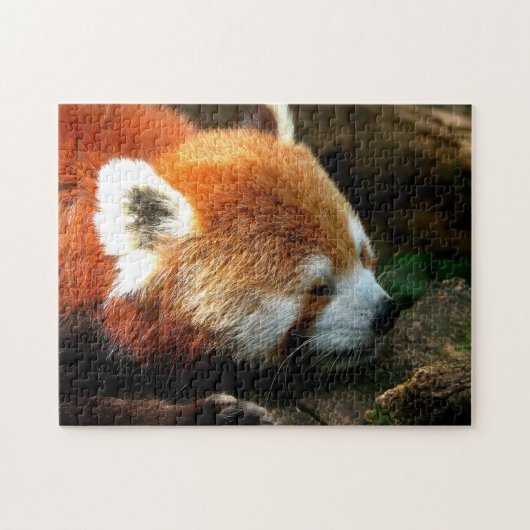 Red Panda Puzzle Legpuzzel (Horizontaal)