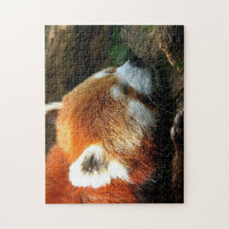 Red Panda Puzzle Legpuzzel