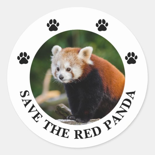 Red Panda redden Ronde Sticker (Voorkant)
