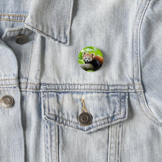 Red Panda Ronde Button 3,2 Cm (In situ)