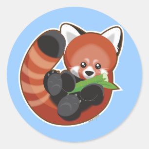 Red Panda Ronde Sticker