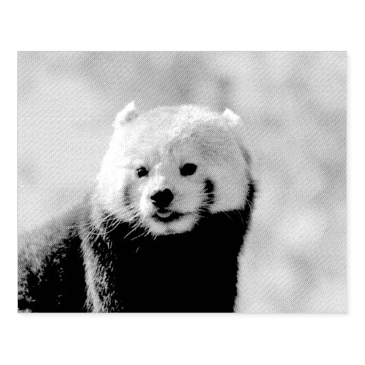 Red Panda Rubberstempel (Afrduk)