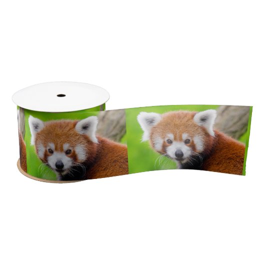 Red Panda Satijnen Lint (Spoel)