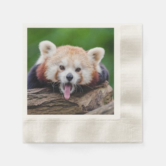 Red Panda Servetten (Voorkant)