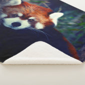 Red Panda Sherpa Deken (3/4)
