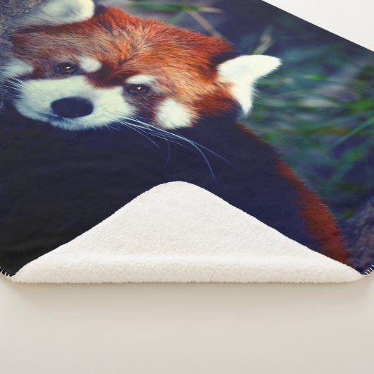 Red Panda Sherpa Deken (3/4)