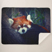 Red Panda Sherpa Deken (Voorkant (horizontaal))