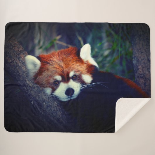 Red Panda Sherpa Deken (Voorkant (horizontaal))