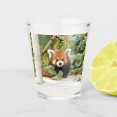 Red Panda Shot Glas (Voorkant)