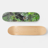 Red Panda Skateboard (Horizontaal)