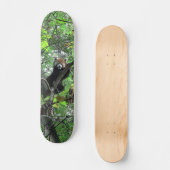 Red Panda Skateboard (Voorkant)