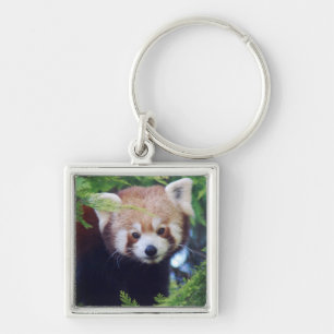 Red Panda Sleutelhanger