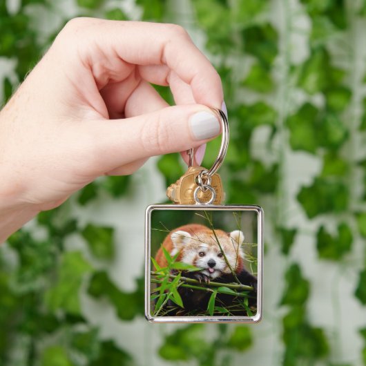Red Panda Sleutelhanger (Hand)