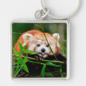 Red Panda Sleutelhanger (Voorkant)