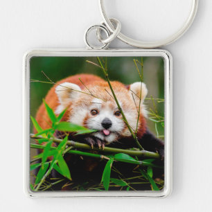 Red Panda Sleutelhanger