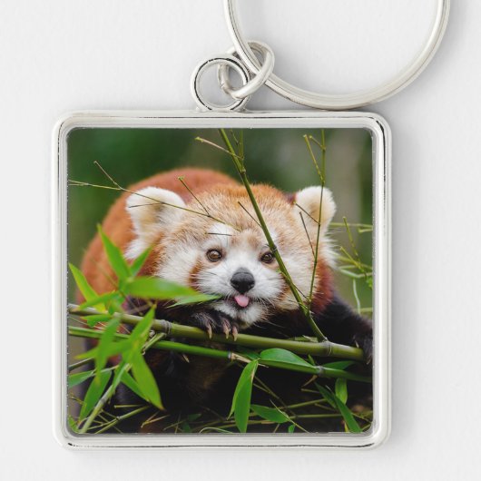 Red Panda Sleutelhanger (Voorkant)
